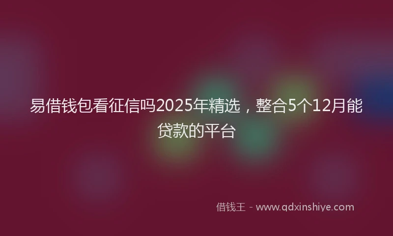 易借钱包看征信吗2025年精选，整合5个12月能贷款的平台