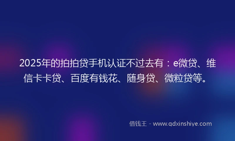 2025年的拍拍贷手机认证不过去有：e微贷、维信卡卡贷、百度有钱花、随身贷、微粒贷等。