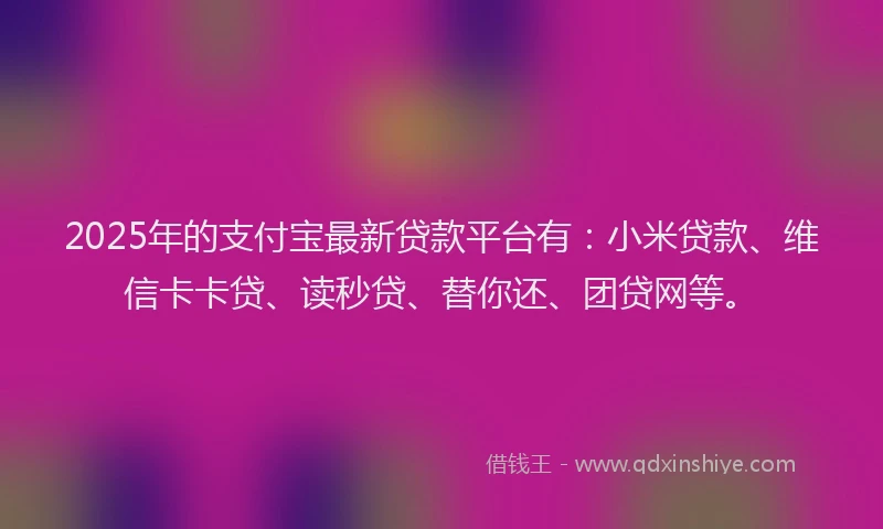 2025年的支付宝最新贷款平台有：小米贷款、维信卡卡贷、读秒贷、替你还、团贷网等。