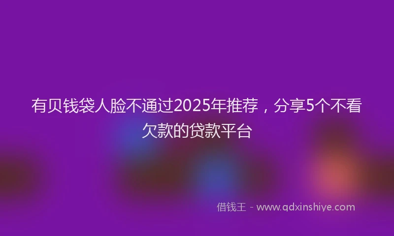 有贝钱袋人脸不通过2025年推荐，分享5个不看欠款的贷款平台