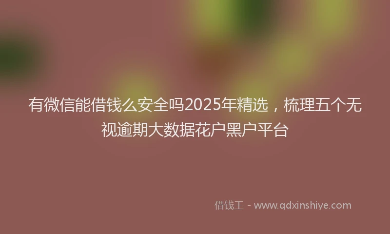 有微信能借钱么安全吗2025年精选，梳理五个无视逾期大数据花户黑户平台