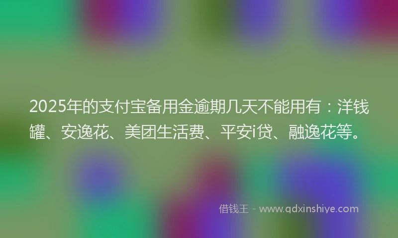 2025年的支付宝备用金逾期几天不能用有：洋钱罐、安逸花、美团生活费、平安i贷、融逸花等。