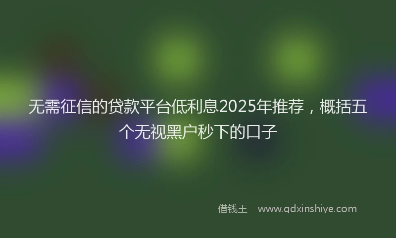 无需征信的贷款平台低利息2025年推荐，概括五个无视黑户秒下的口子