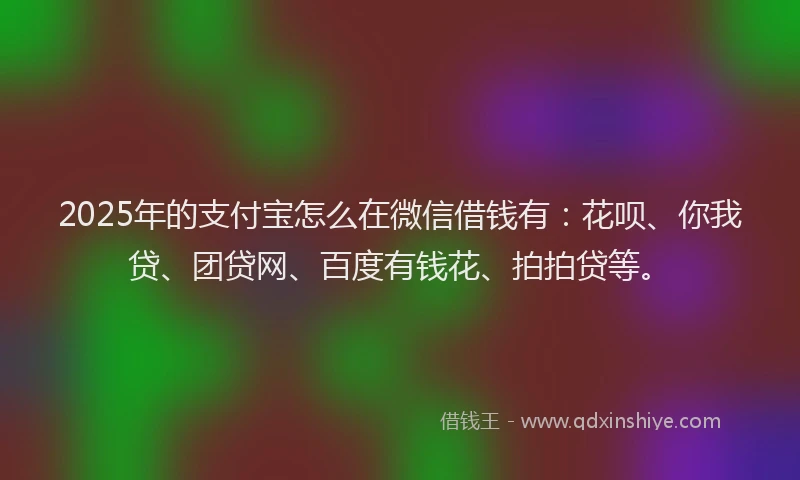 2025年的支付宝怎么在微信借钱有：花呗、你我贷、团贷网、百度有钱花、拍拍贷等。