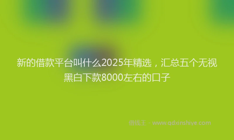 新的借款平台叫什么2025年精选，汇总五个无视黑白下款8000左右的口子