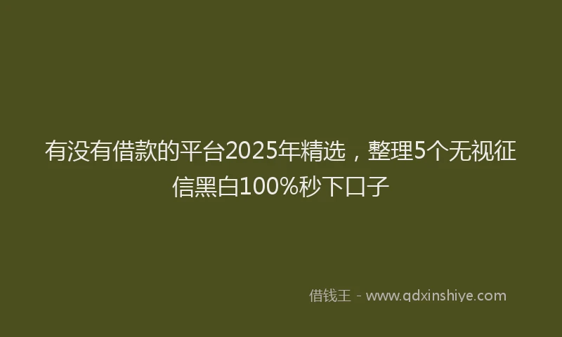 有没有借款的平台2025年精选，整理5个无视征信黑白100%秒下口子