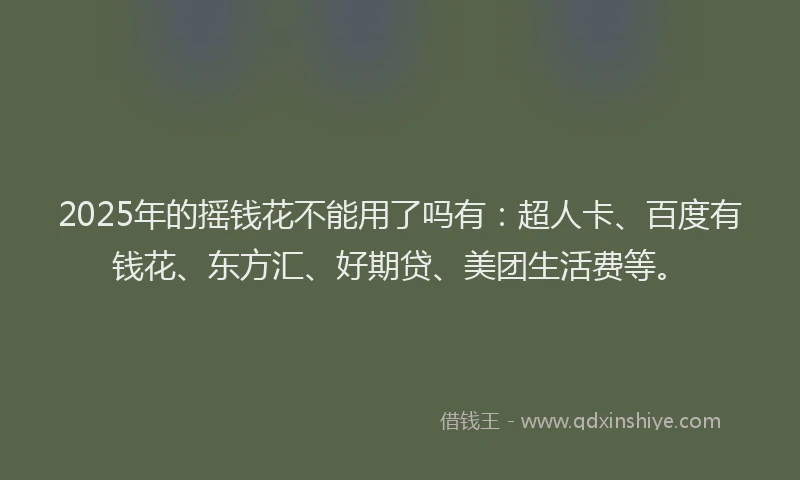 2025年的摇钱花不能用了吗有：超人卡、百度有钱花、东方汇、好期贷、美团生活费等。