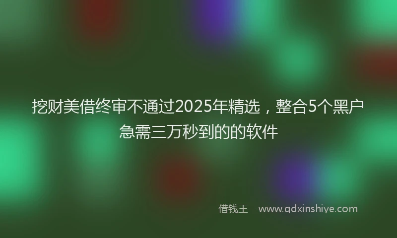 挖财美借终审不通过2025年精选，整合5个黑户急需三万秒到的的软件