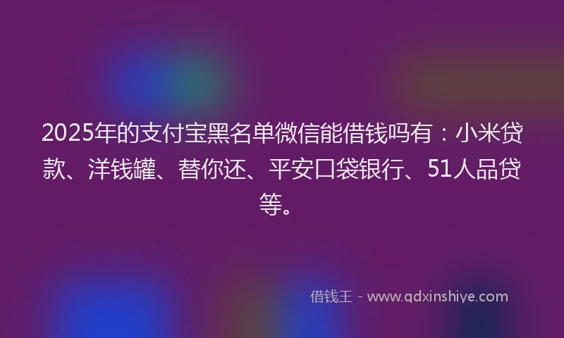 2025年的支付宝黑名单微信能借钱吗有:小米贷款、洋钱罐、替你还、平安口袋银行、51人品贷等。