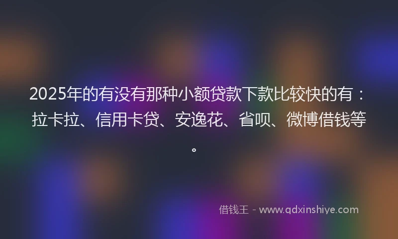 2025年的有没有那种小额贷款下款比较快的有：拉卡拉、信用卡贷、安逸花、省呗、微博借钱等。