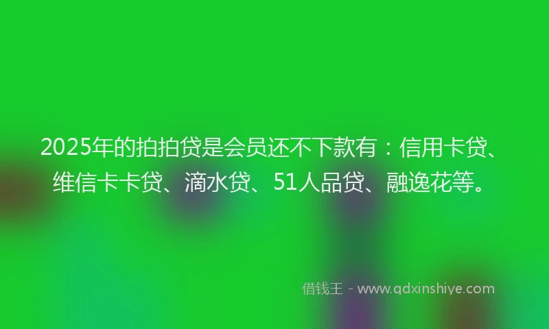 2025年的拍拍贷是会员还不下款有：信用卡贷、维信卡卡贷、滴水贷、51人品贷、融逸花等。