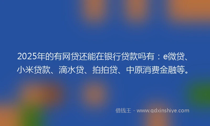 2025年的有网贷还能在银行贷款吗有：e微贷、小米贷款、滴水贷、拍拍贷、中原消费金融等。