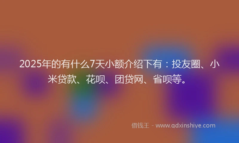 2025年的有什么7天小额介绍下有：投友圈、小米贷款、花呗、团贷网、省呗等。