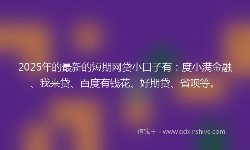 2025年的最新的短期网贷小口子有：度小满金融、我来贷、百度有钱花、好期贷、省呗等。