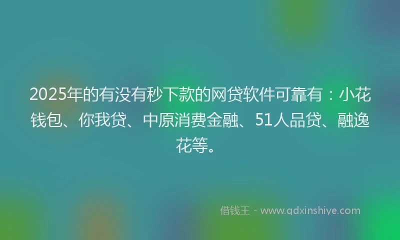 2025年的有没有秒下款的网贷软件可靠有：小花钱包、你我贷、中原消费金融、51人品贷、融逸花等。