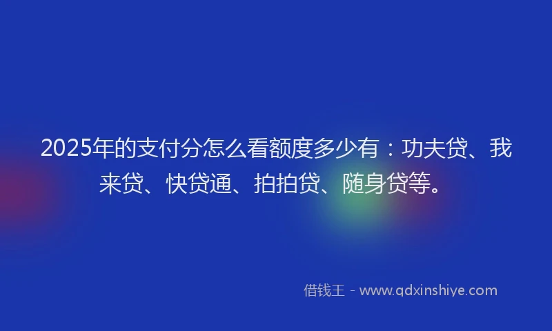 2025年的支付分怎么看额度多少有：功夫贷、我来贷、快贷通、拍拍贷、随身贷等。