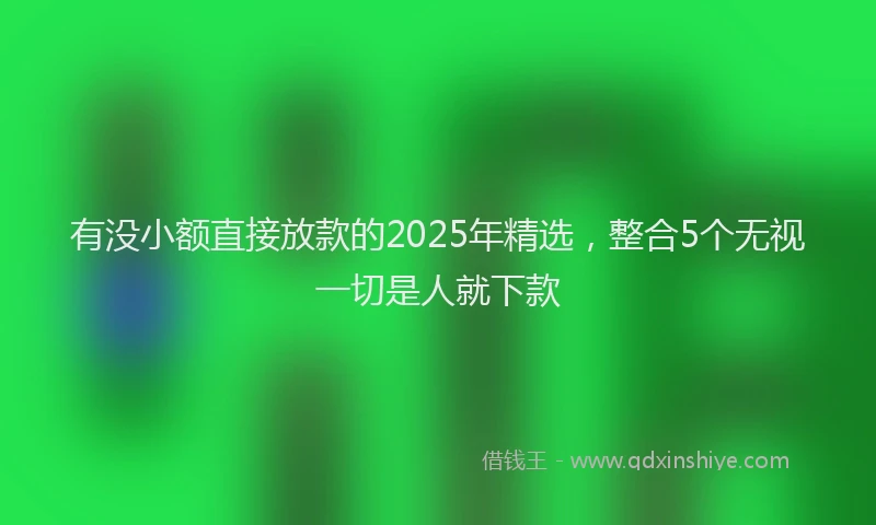 有没小额直接放款的2025年精选，整合5个无视一切是人就下款