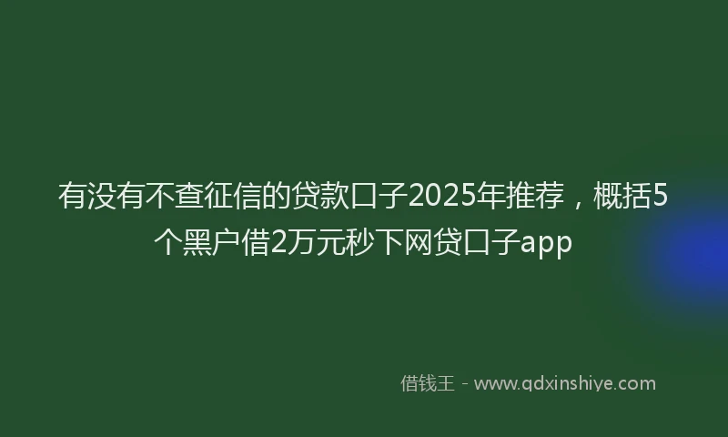 有没有不查征信的贷款口子2025年推荐，概括5个黑户借2万元秒下网贷口子app
