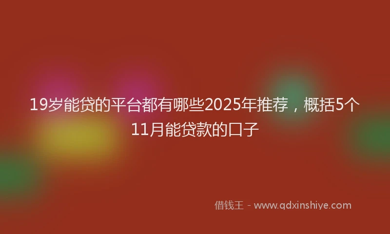 19岁能贷的平台都有哪些2025年推荐，概括5个11月能贷款的口子