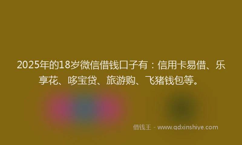 2025年的18岁微信借钱口子有：信用卡易借、乐享花、哆宝贷、旅游购、飞猪钱包等。