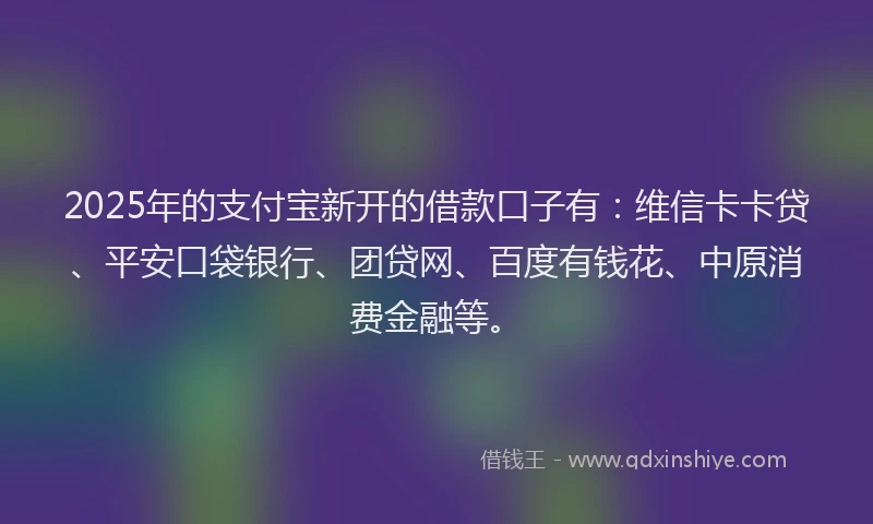2025年的支付宝新开的借款口子有：维信卡卡贷、平安口袋银行、团贷网、百度有钱花、中原消费金融等。