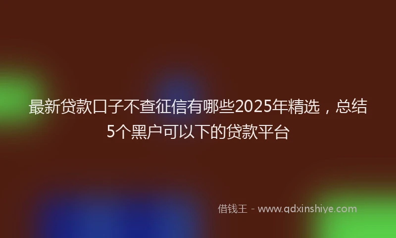最新贷款口子不查征信有哪些2025年精选，总结5个黑户可以下的贷款平台