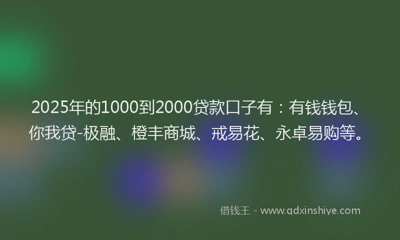 2025年的1000到2000贷款口子有：有钱钱包、你我贷-极融、橙丰商城、戒易花、永卓易购等。