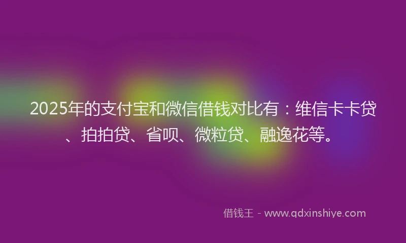 2025年的支付宝和微信借钱对比有：维信卡卡贷、拍拍贷、省呗、微粒贷、融逸花等。