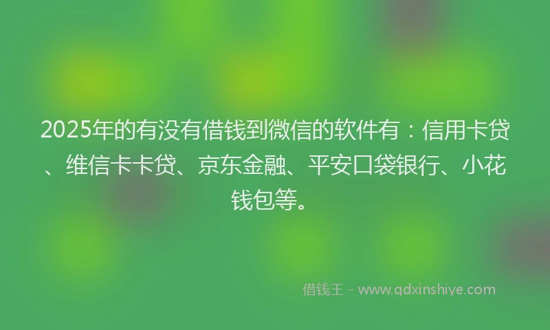 2025年的有没有借钱到微信的软件有：信用卡贷、维信卡卡贷、京东金融、平安口袋银行、小花钱包等。