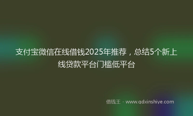 支付宝微信在线借钱2025年推荐，总结5个新上线贷款平台门槛低平台