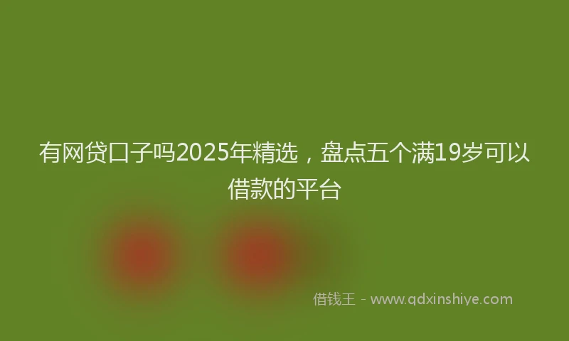 有网贷口子吗2025年精选，盘点五个满19岁可以借款的平台