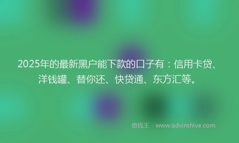 2025年的最新黑户能下款的口子有：信用卡贷、洋钱罐、替你还、快贷通、东方汇等。