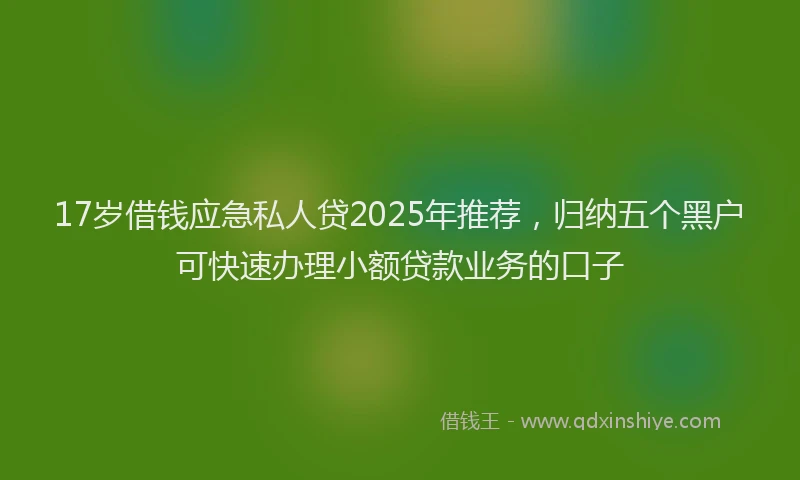 17岁借钱应急私人贷2025年推荐，归纳五个黑户可快速办理小额贷款业务的口子