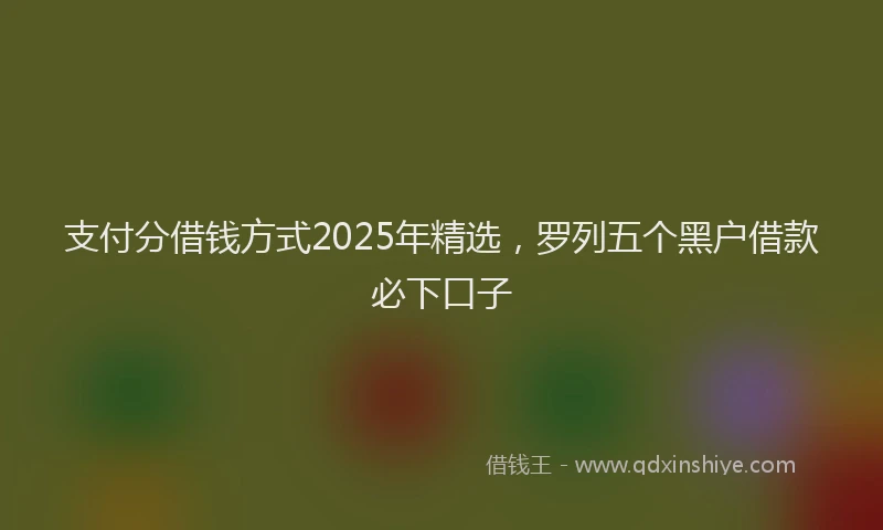 支付分借钱方式2025年精选，罗列五个黑户借款必下口子