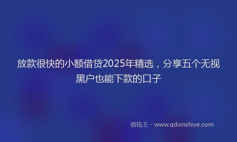 放款很快的小额借贷2025年精选，分享五个无视黑户也能下款的口子