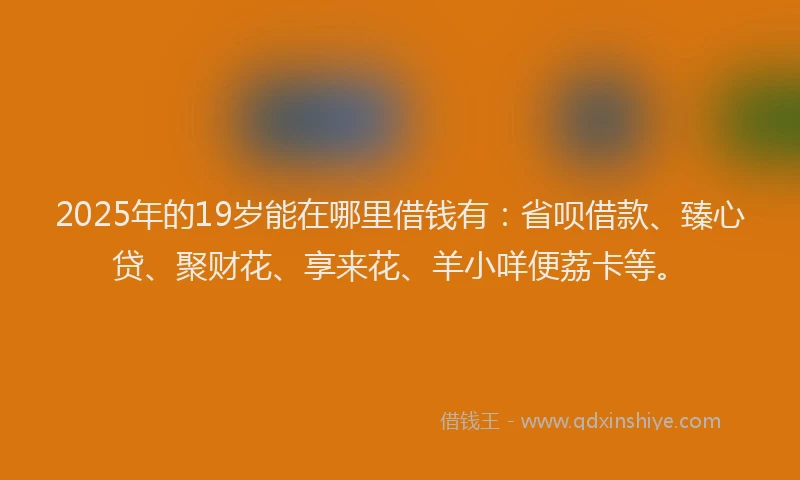 2025年的19岁能在哪里借钱有：省呗借款、臻心贷、聚财花、享来花、羊小咩便荔卡等。