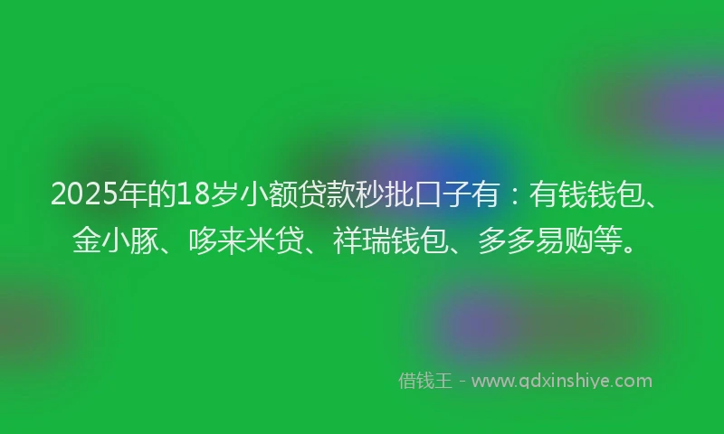 2025年的18岁小额贷款秒批口子有：有钱钱包、金小豚、哆来米贷、祥瑞钱包、多多易购等。