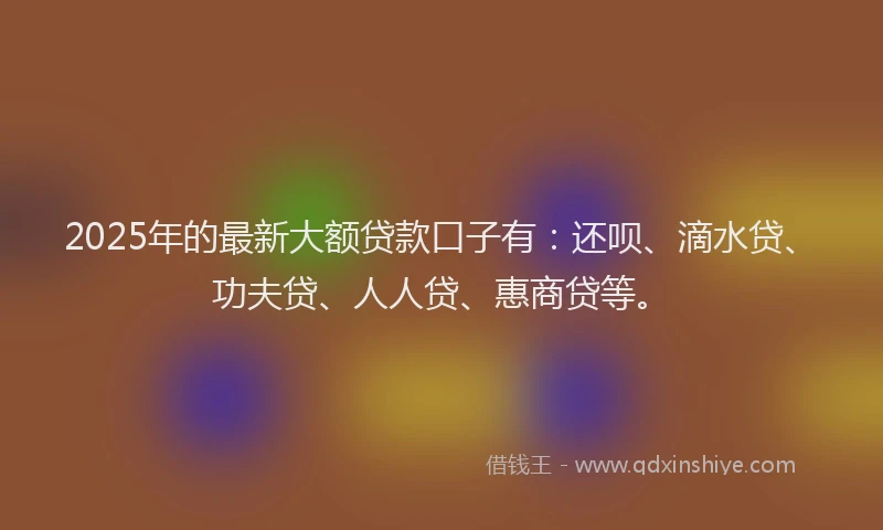 2025年的最新大额贷款口子有：还呗、滴水贷、功夫贷、人人贷、惠商贷等。