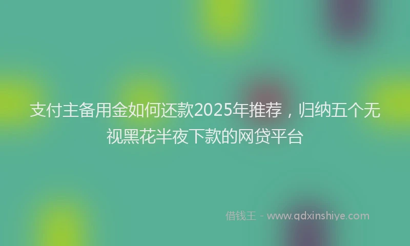 支付主备用金如何还款2025年推荐，归纳五个无视黑花半夜下款的网贷平台