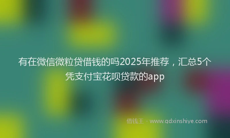 有在微信微粒贷借钱的吗2025年推荐，汇总5个凭支付宝花呗贷款的app