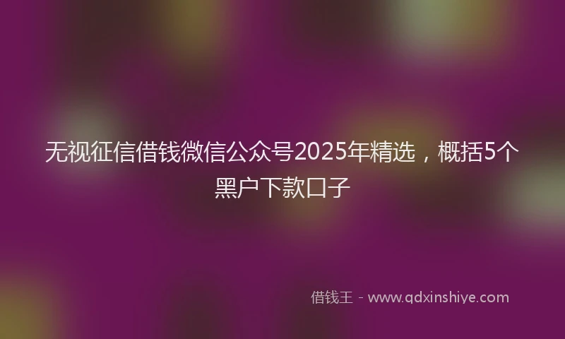 无视征信借钱微信公众号2025年精选，概括5个黑户下款口子