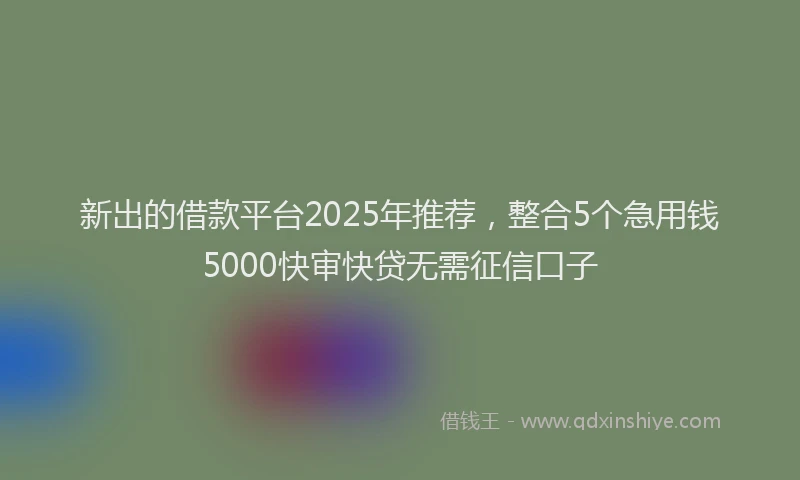 新出的借款平台2025年推荐，整合5个急用钱5000快审快贷无需征信口子