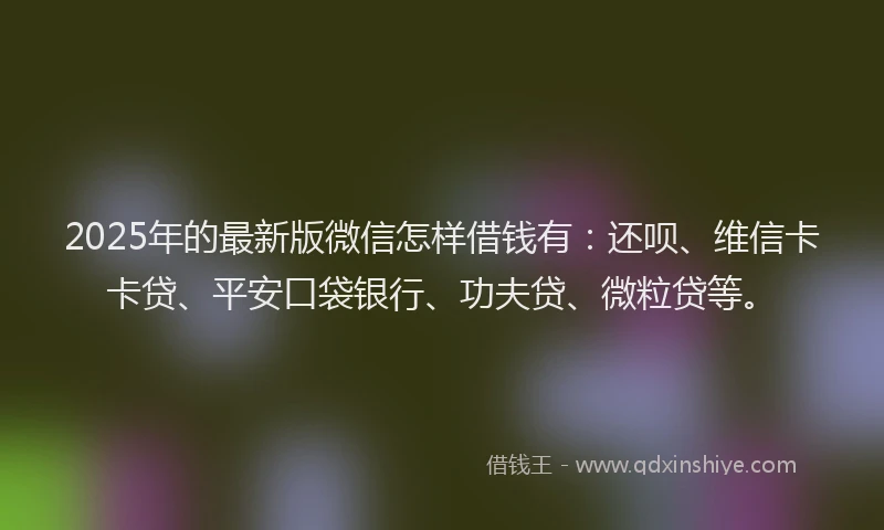 2025年的最新版微信怎样借钱有：还呗、维信卡卡贷、平安口袋银行、功夫贷、微粒贷等。