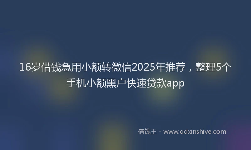 16岁借钱急用小额转微信2025年推荐，整理5个手机小额黑户快速贷款app