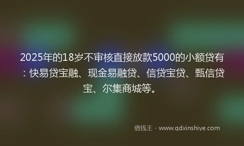 2025年的18岁不审核直接放款5000的小额贷有：快易贷宝融、现金易融贷、信贷宝贷、甄信贷宝、尔集商城等。