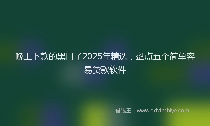 晚上下款的黑口子2025年精选，盘点五个简单容易贷款软件