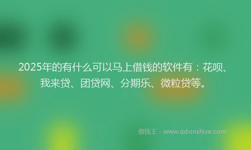 2025年的有什么可以马上借钱的软件有：花呗、我来贷、团贷网、分期乐、微粒贷等。