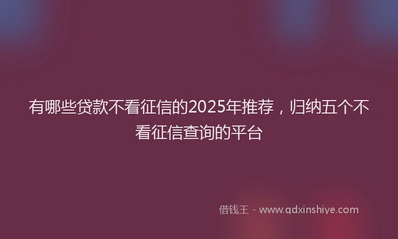 有哪些贷款不看征信的2025年推荐，归纳五个不看征信查询的平台