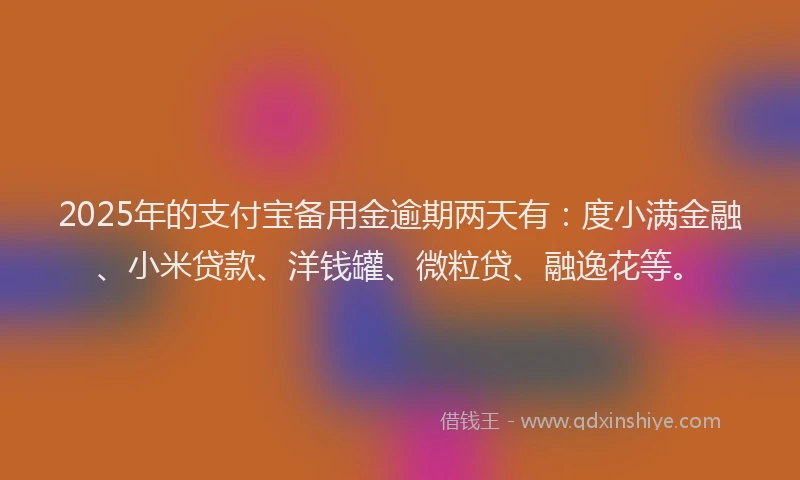 2025年的支付宝备用金逾期两天有：度小满金融、小米贷款、洋钱罐、微粒贷、融逸花等。