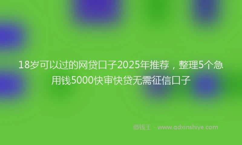 18岁可以过的网贷口子2025年推荐，整理5个急用钱5000快审快贷无需征信口子